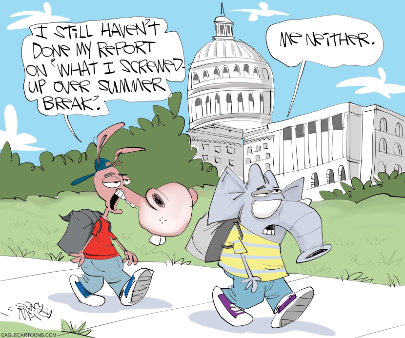 What Politicans Do