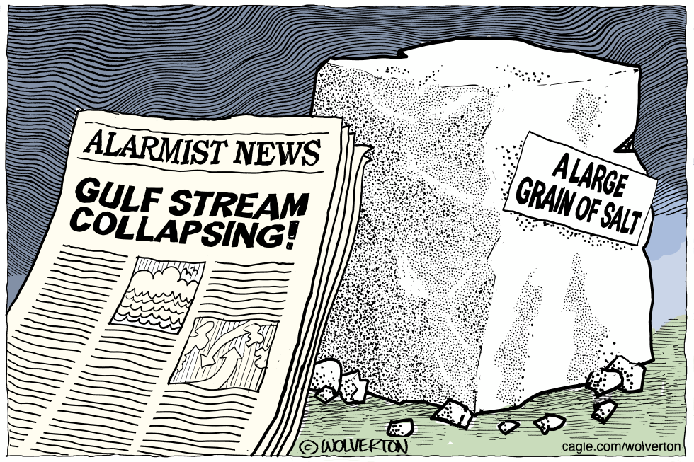 Gulf Stream Collapse