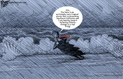 REPORTING FROM USUALLY SUNNY CALIFORNIA by Bruce Plante