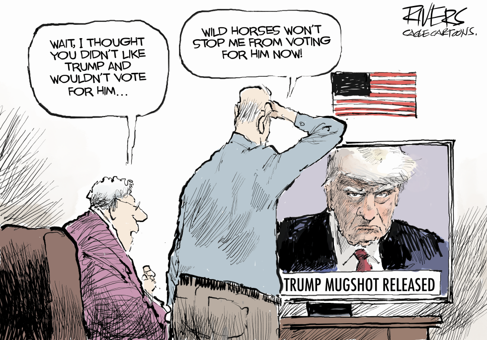 Trump Mugshot backfire