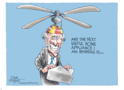 BIDEN AND CEILING FANS by Dick Wright