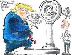 BIG FAT LIE  by John Darkow