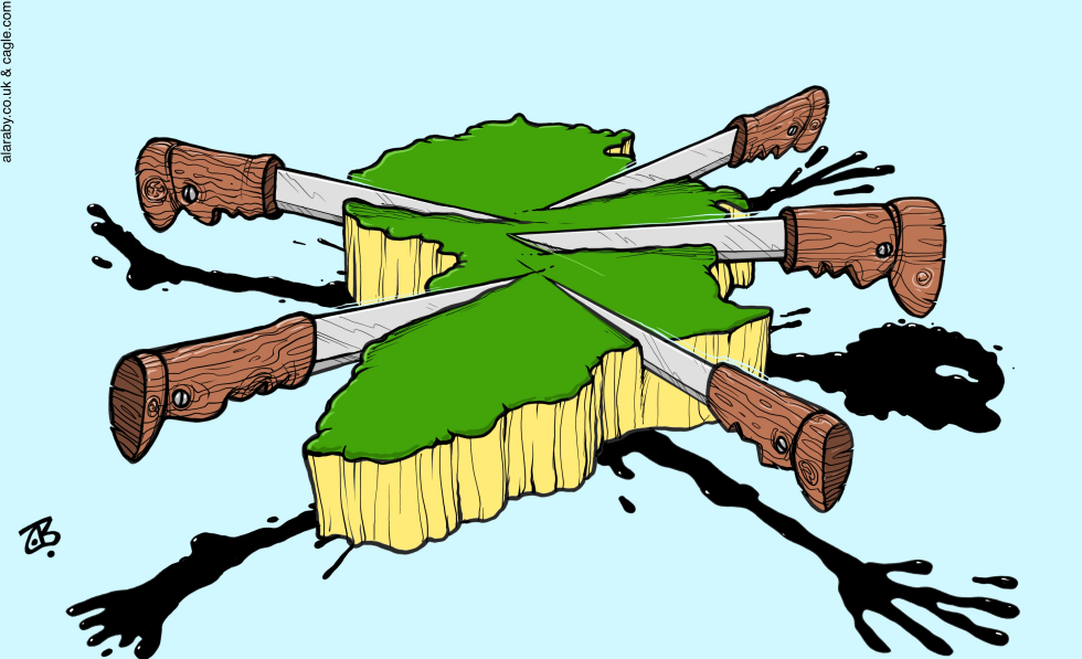 African cake split