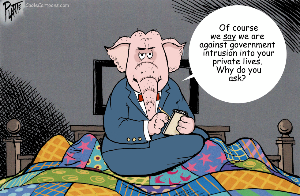 Elephant in the Room