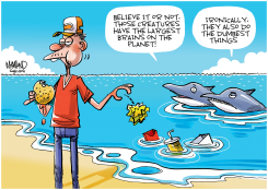 STUPID HUMAN TRICKS by Dave Whamond