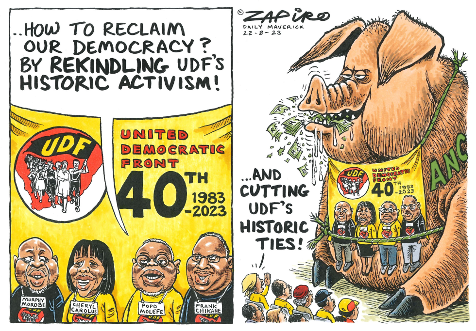 HISTORIC ACTIVISM by Zapiro