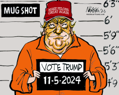 MUG SHOT by Steve Nease