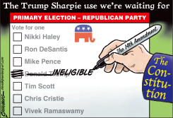 SHARPIE BALLOT by Steve Greenberg