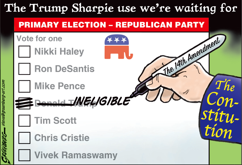 Sharpie Ballot