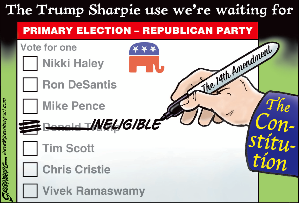Sharpie Ballot