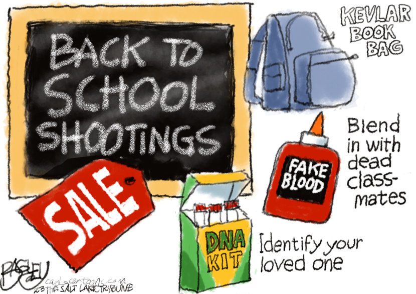 School Shootings