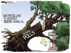 DESANTIS POLLS by Bill Day
