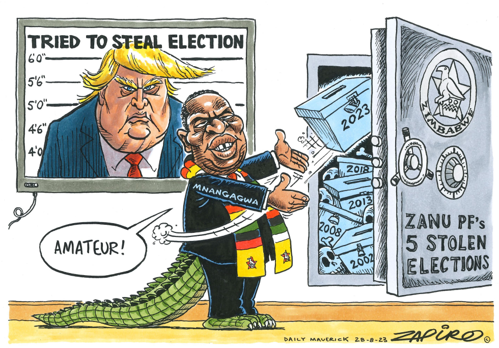 AMATEUR by Zapiro