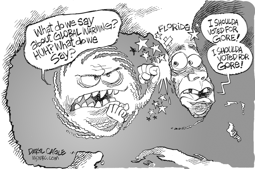Gore Storm