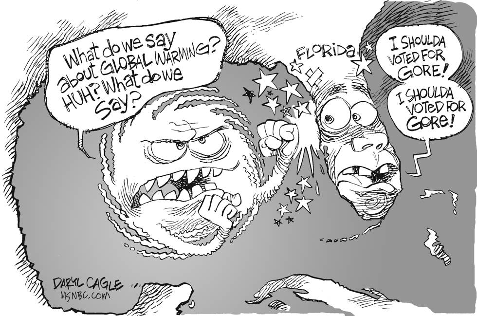 Gore Storm