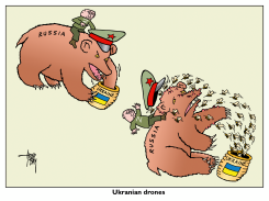 UKRAINIAN DRONES by Arend van Dam