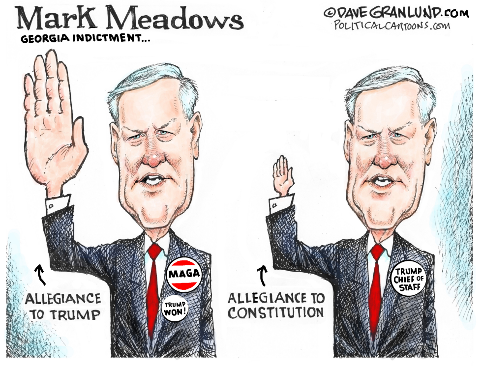Meadow dual allegiance
