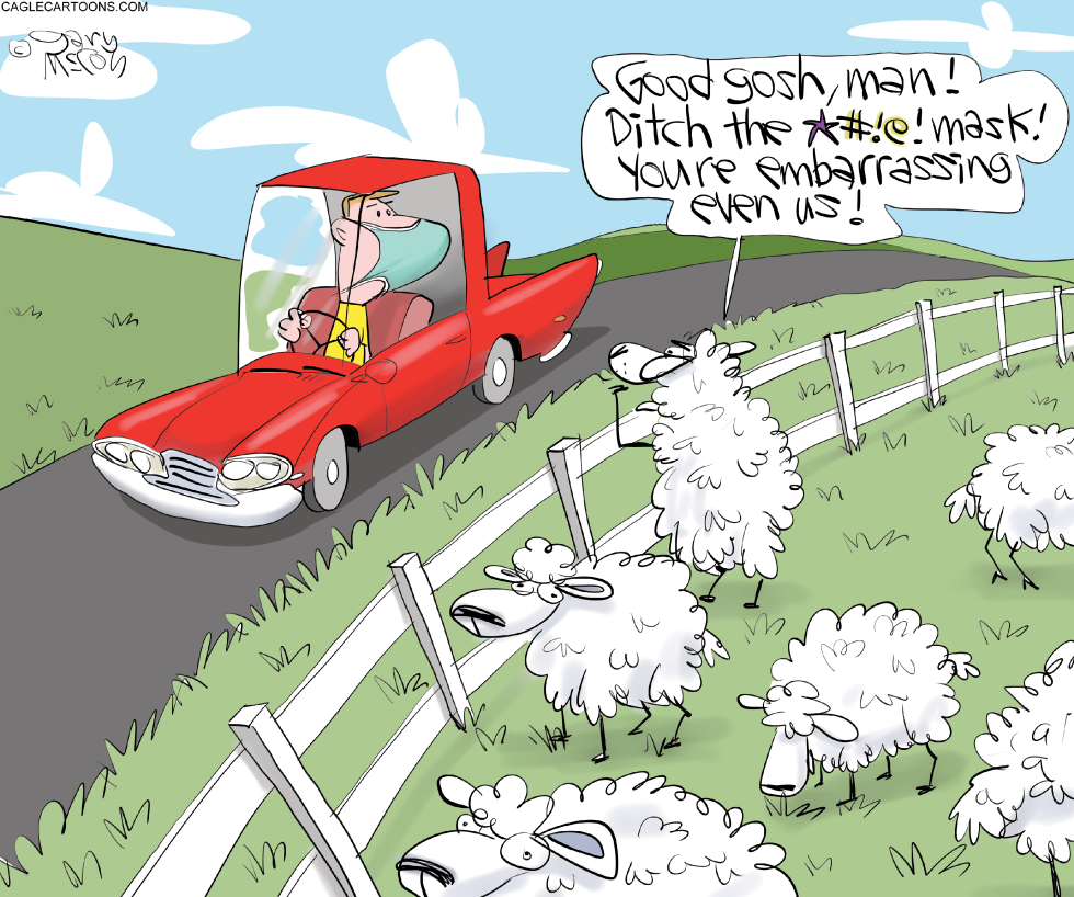 Sheep And Masks