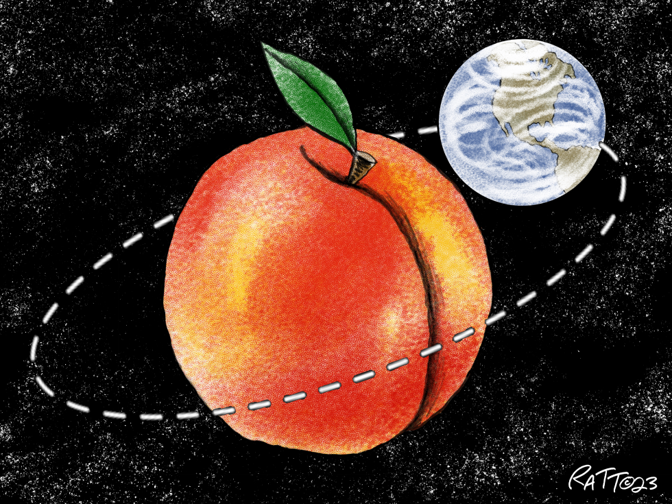 Peach State Priority