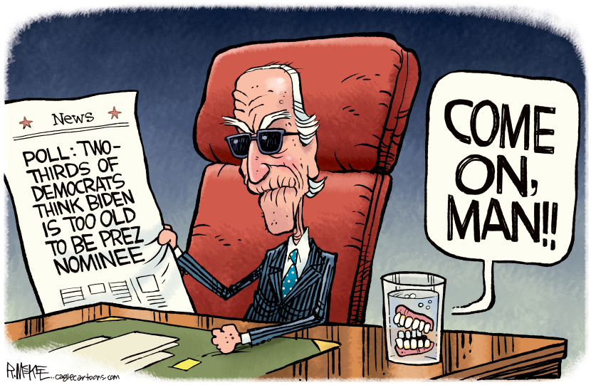Biden Too Old Poll