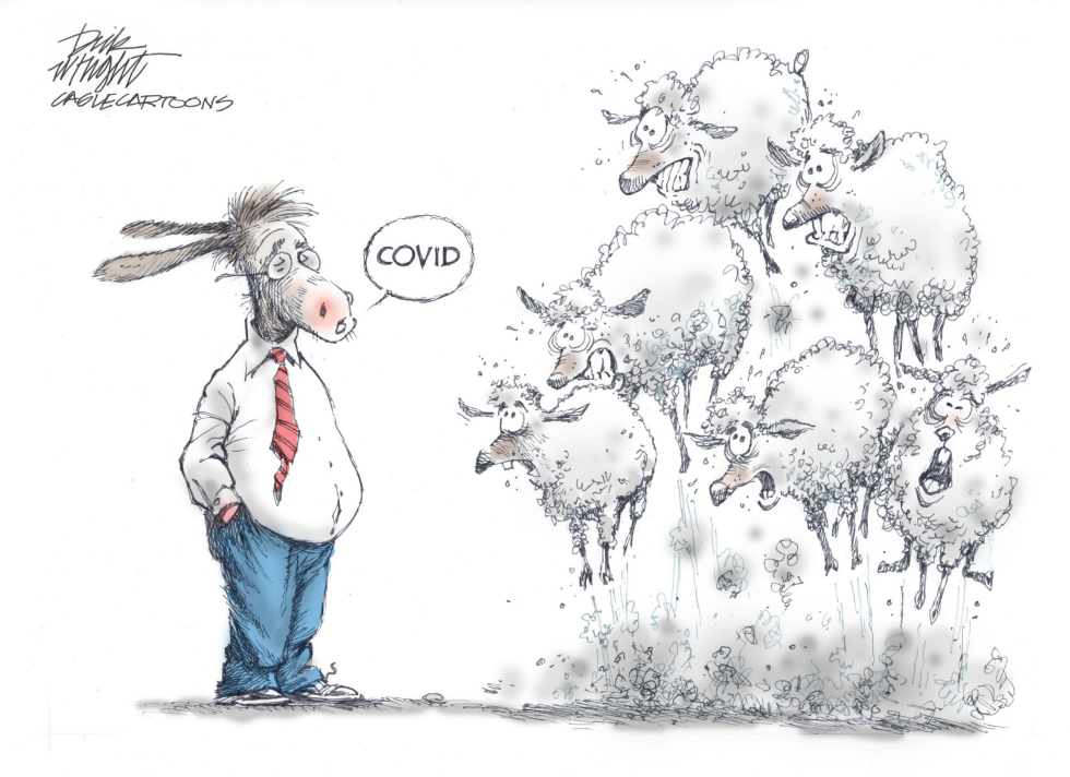 COVID Sheep