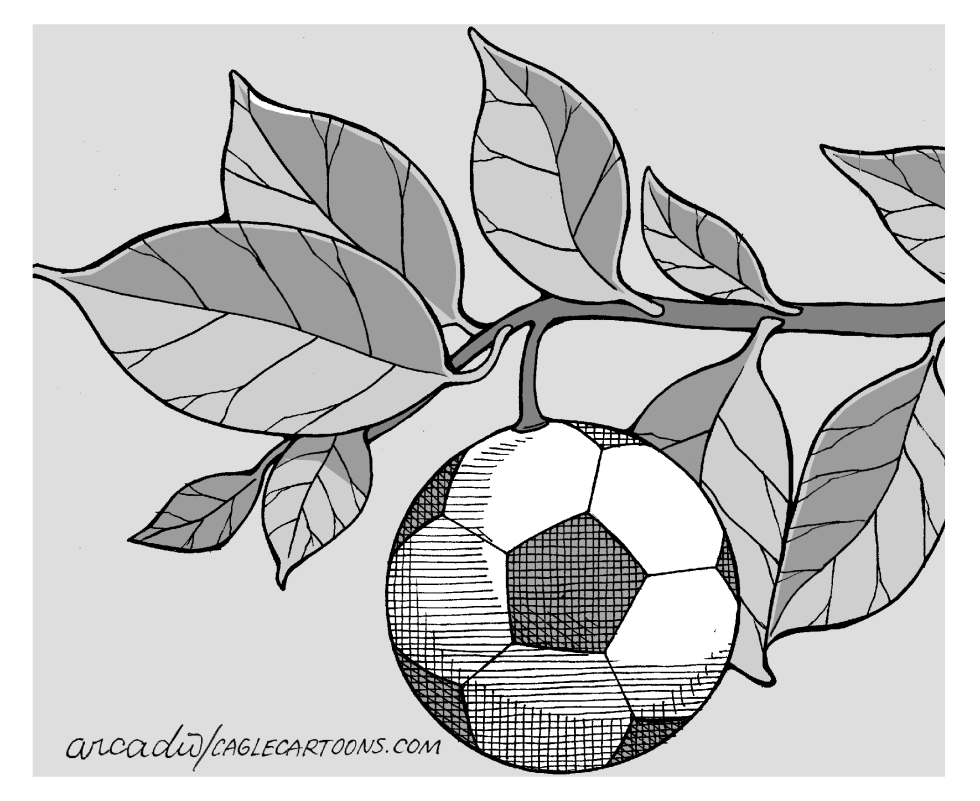 Fruit of the Sport