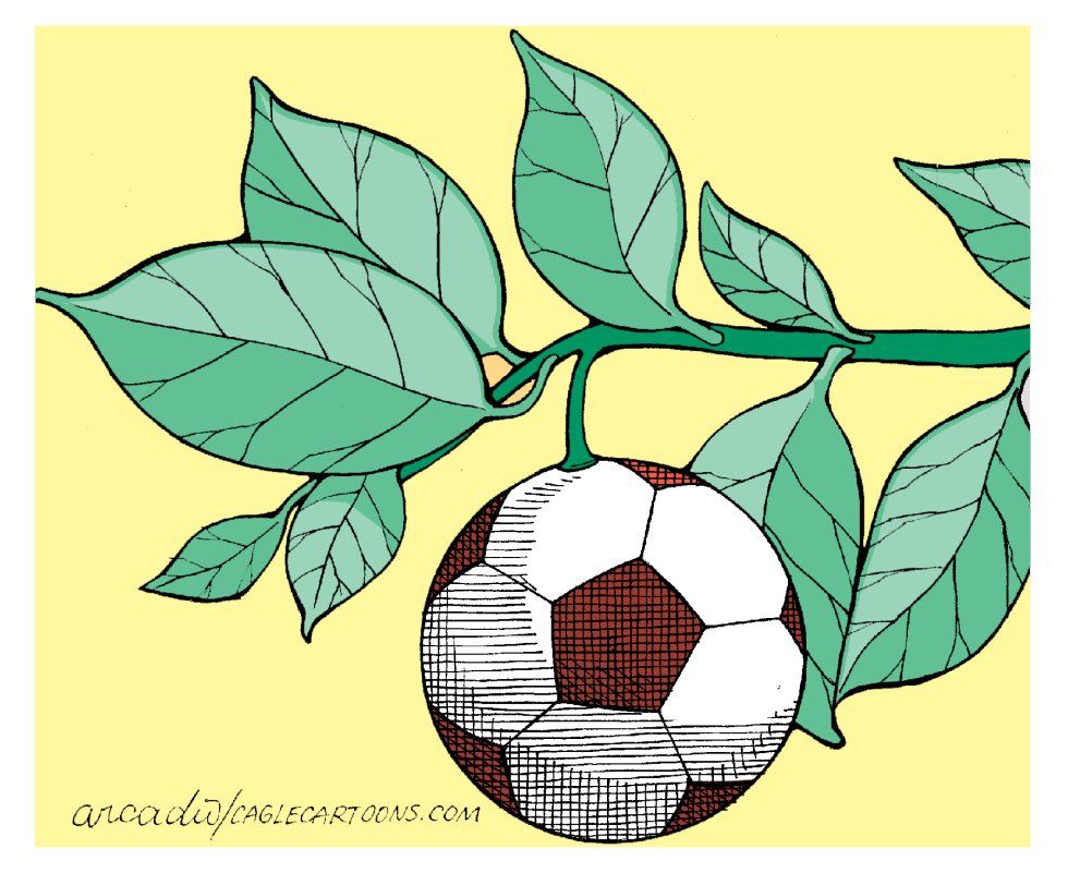Fruit of the Sport / COLOR