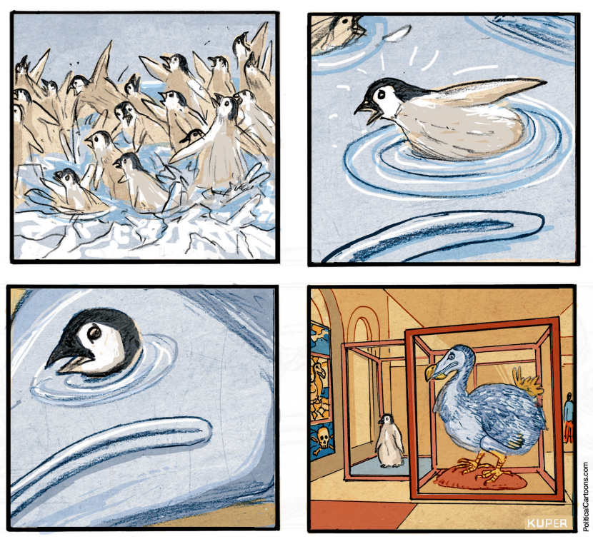 Penguin Extinction