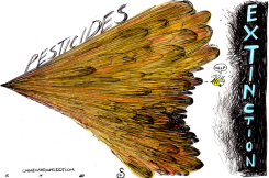 PLIGHT OF THE BUMBLEBEE by Randall Enos