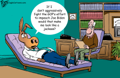 THE BIDEN IMPEACHMENT by Bruce Plante