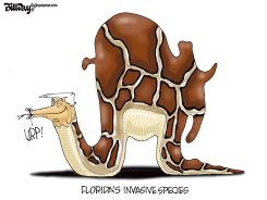 FLORIDA'S INVASIVE SPECIES by Bill Day
