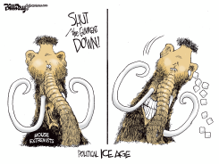 POLITICAL ICE AGE by Bill Day