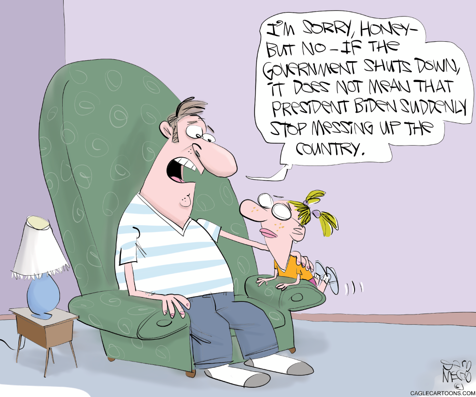 Government Shutdown Helps
