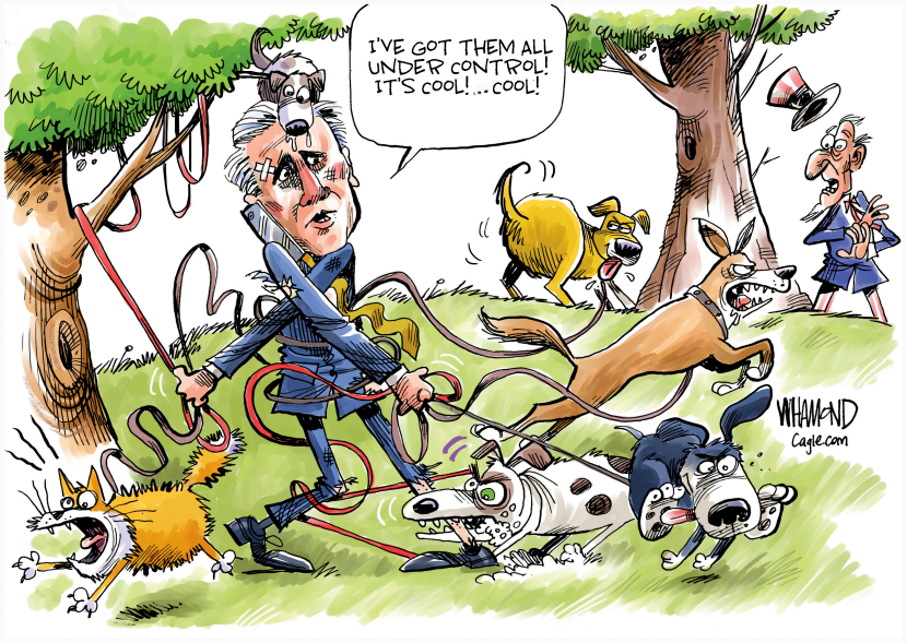 McCarthy failure to lead