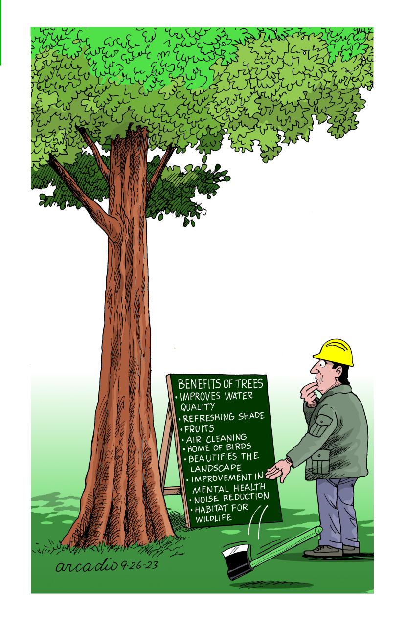 Tree benefits.