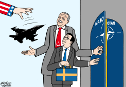ERDOGAN'S F-16 DEAL by Rainer Hachfeld