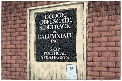 GOP POLITICAL STRATEGIES by Monte Wolverton