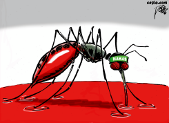 HAMAS MOSQUITO by Tom Janssen