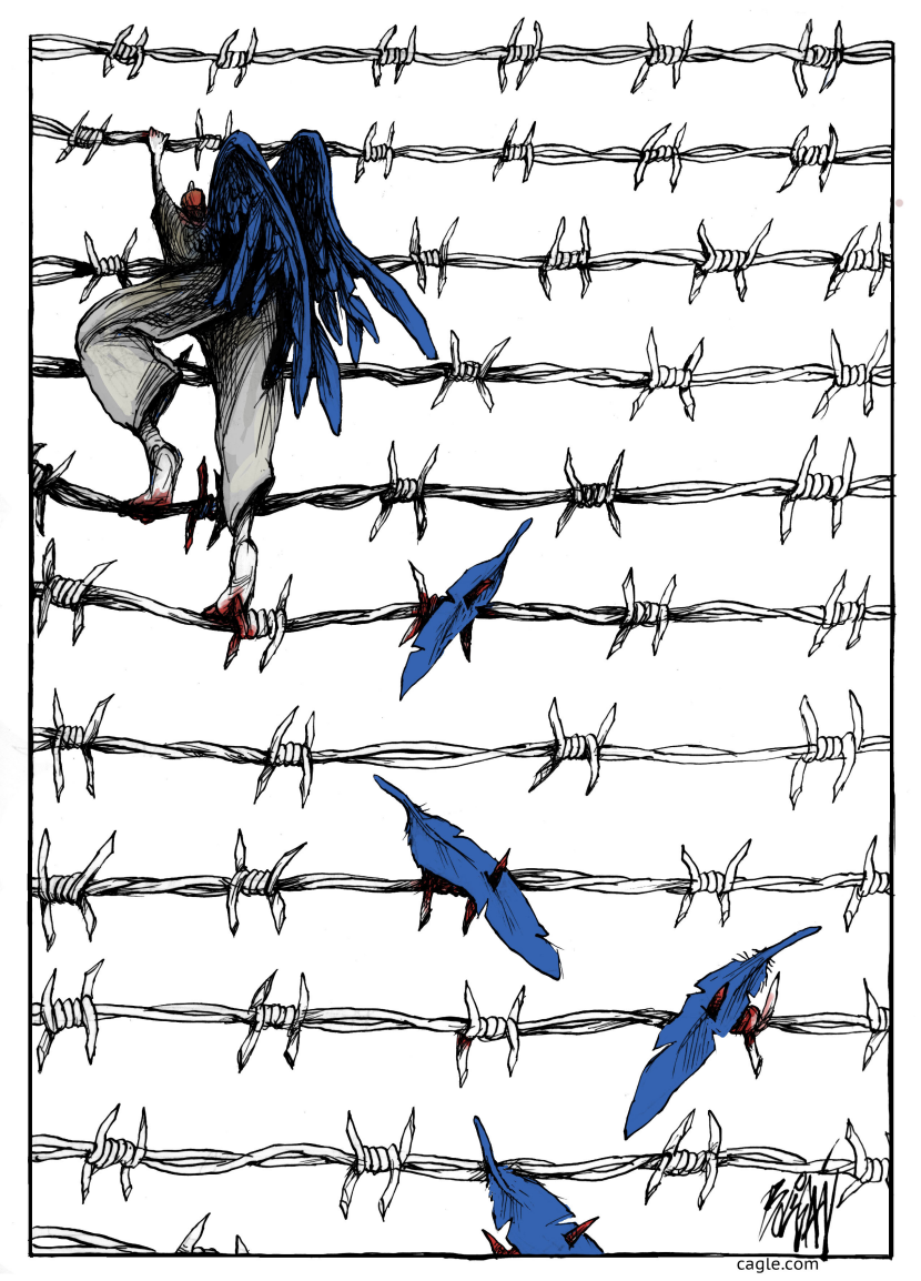 Winged migrant climbs barbed wire fences losing feathers