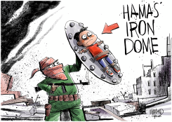 IRON DOME by Dave Whamond