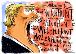 WITHCH HUNT by Guy Parsons