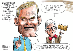 JORDAN ELECTION DENIAL by Dave Whamond