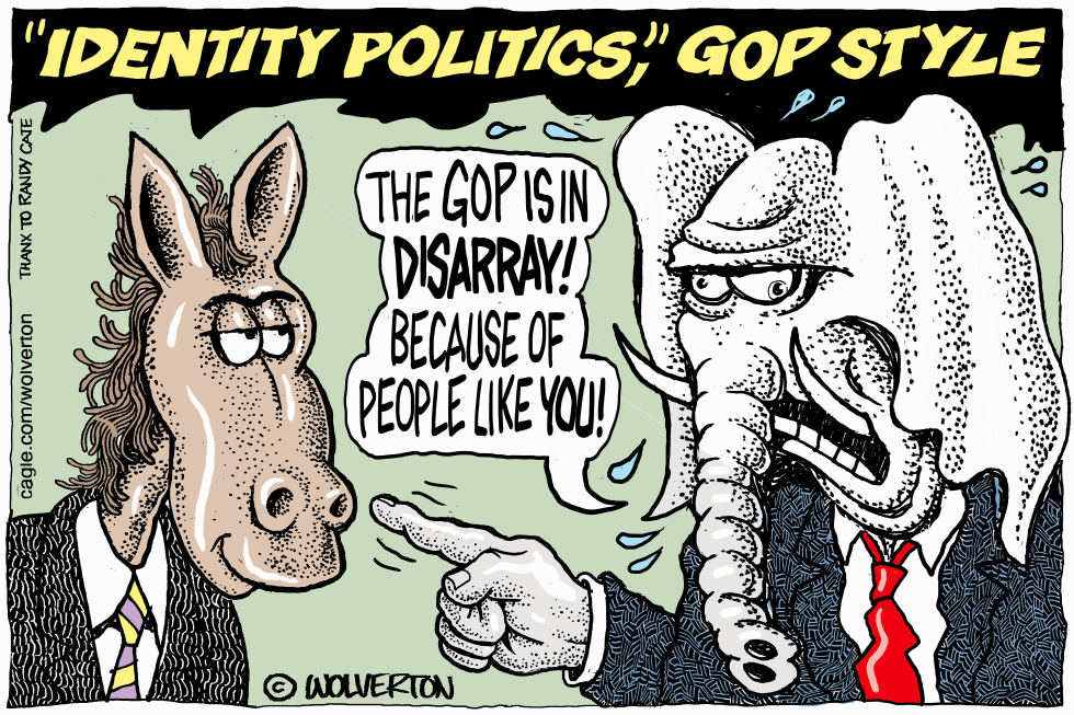 Blame for GOP Disarray