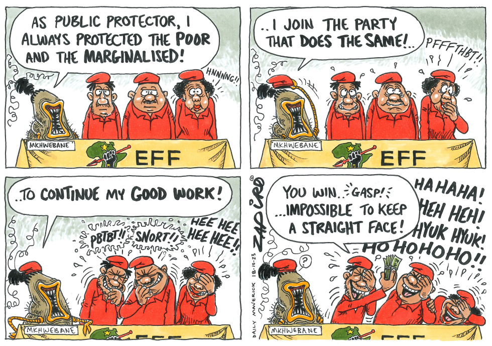 PUBLIC PROTECTOR by Zapiro