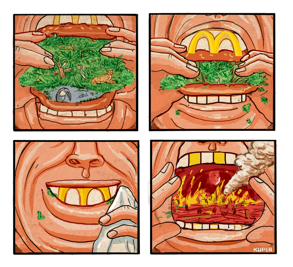Fast Food's Environmental Destruction