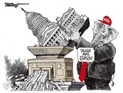 SHREDDED CONGRESS by Bill Day