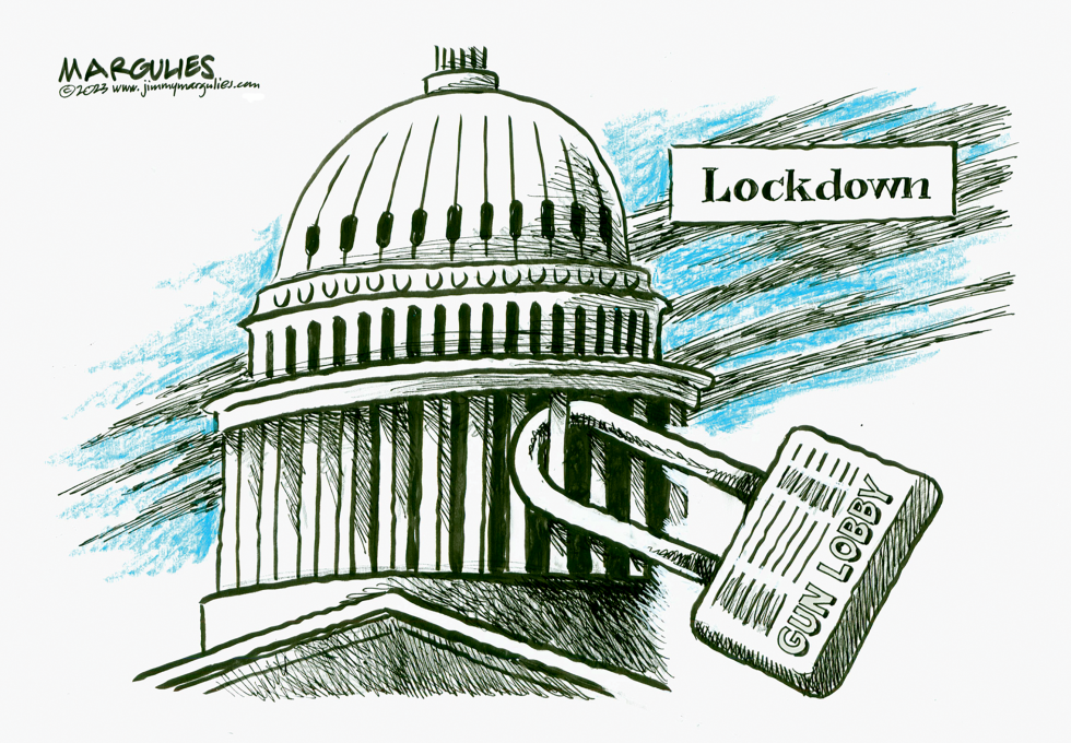 Gun Lobby and Congress