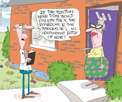 POLLING THE VOTE by Gary McCoy