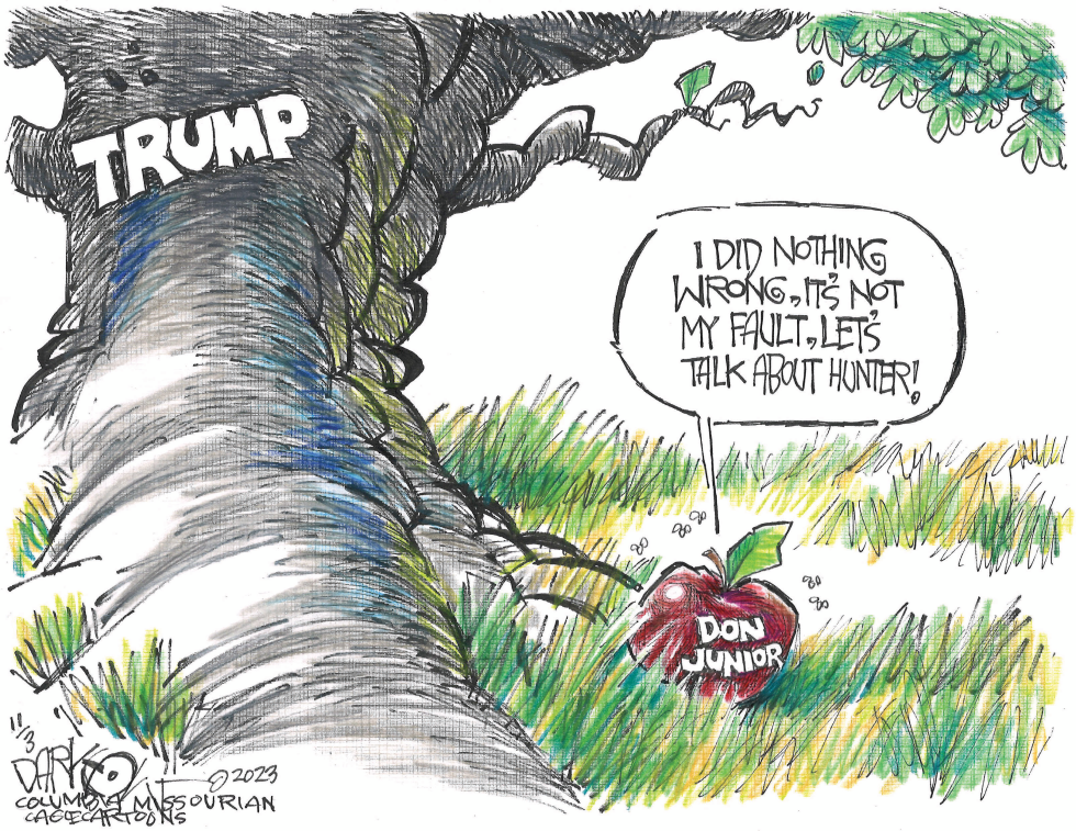 Junior and the fraudster