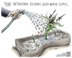 GARDEN OF RUBBLE by Adam Zyglis